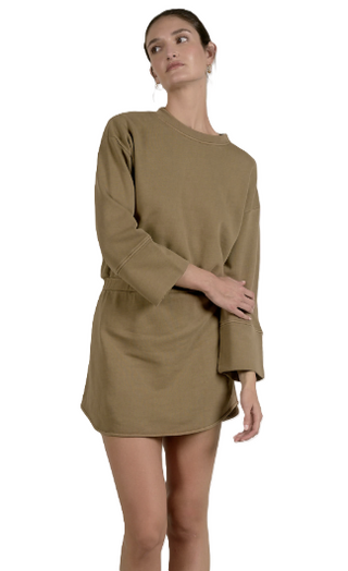 Long-Sleeve Crewneck Dress- Brown
