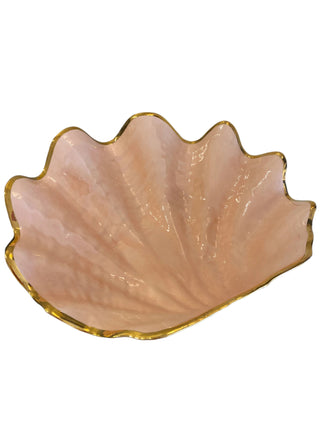 Clam Shell Large