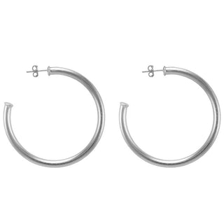 Small Everybody's Favorite Hoops- Brushed Silver Plated
