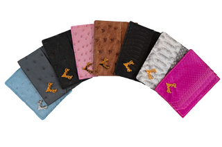 Python Card Case