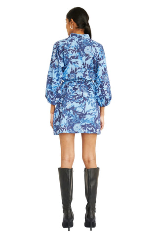 Daisy Dress- Clematis